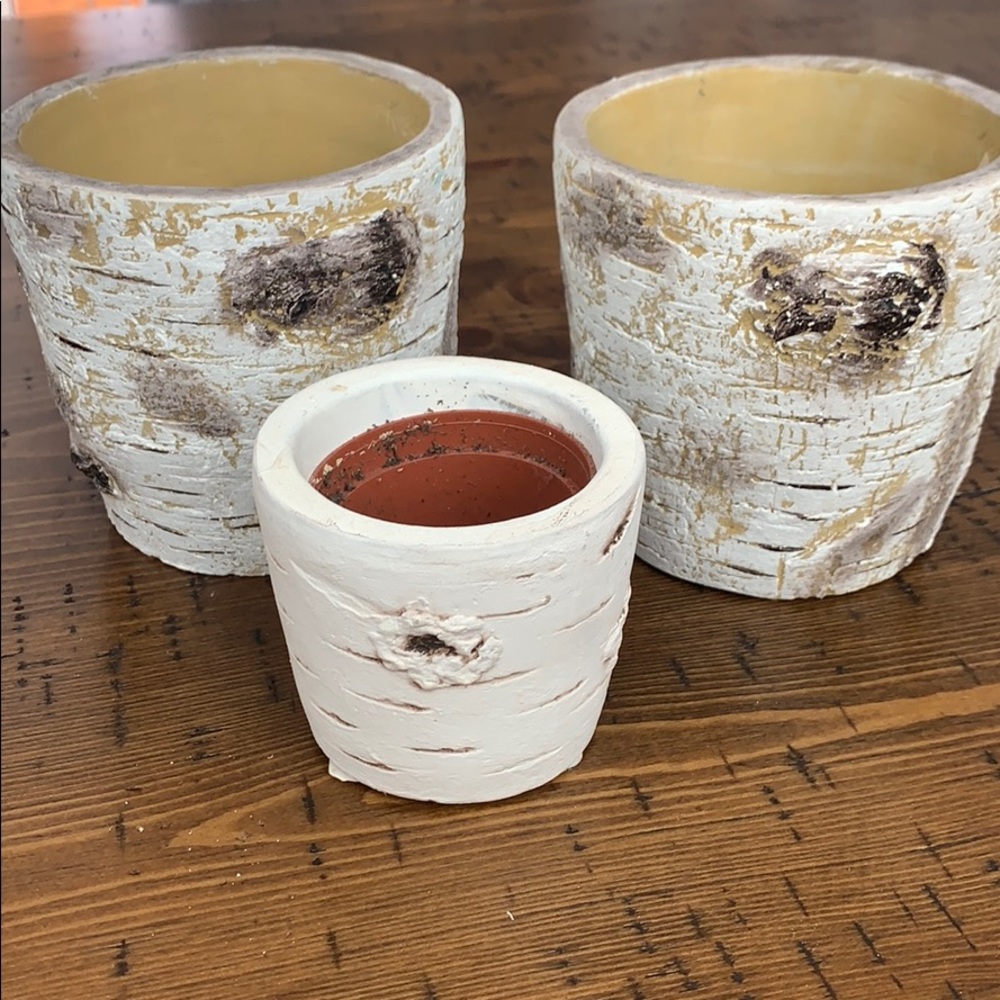 Rustic succulent pots